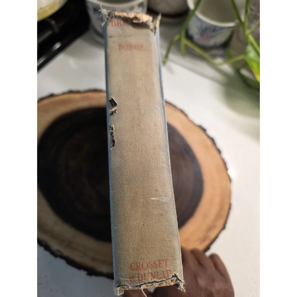 Hans Brinker or The Silver‎ Skates Mary Mapes Dodge Hardcover 1939-1943